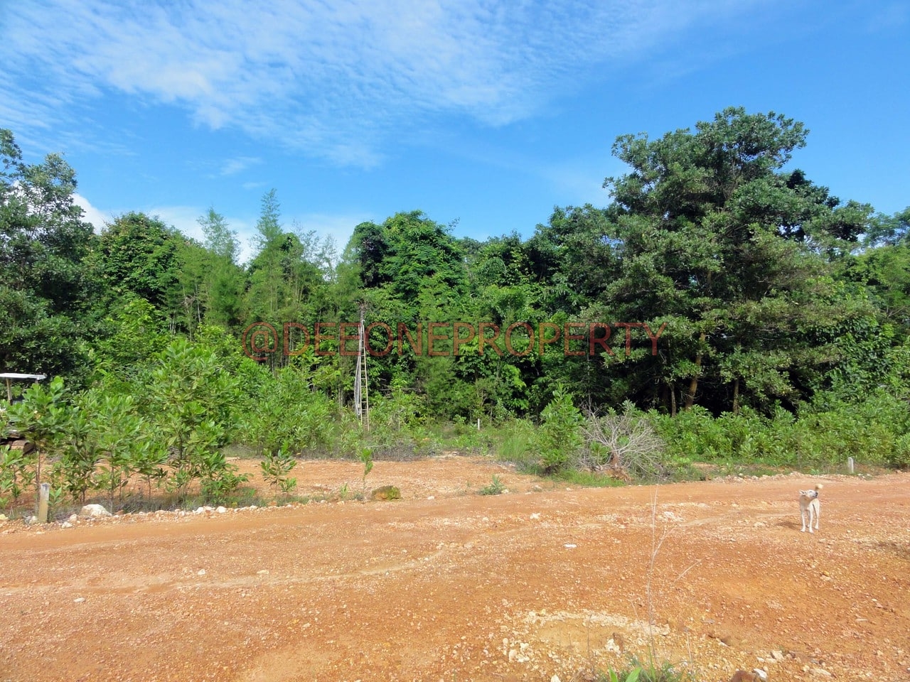 House Plot in Quiet Area for Sale – South West Coast, Koh Chang