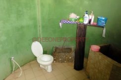 DSC01916