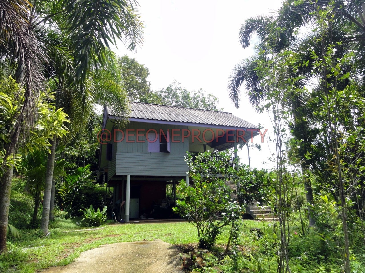 Lovely Bungalow w/ Jungle view for Rent – North West Coast, Koh Chang