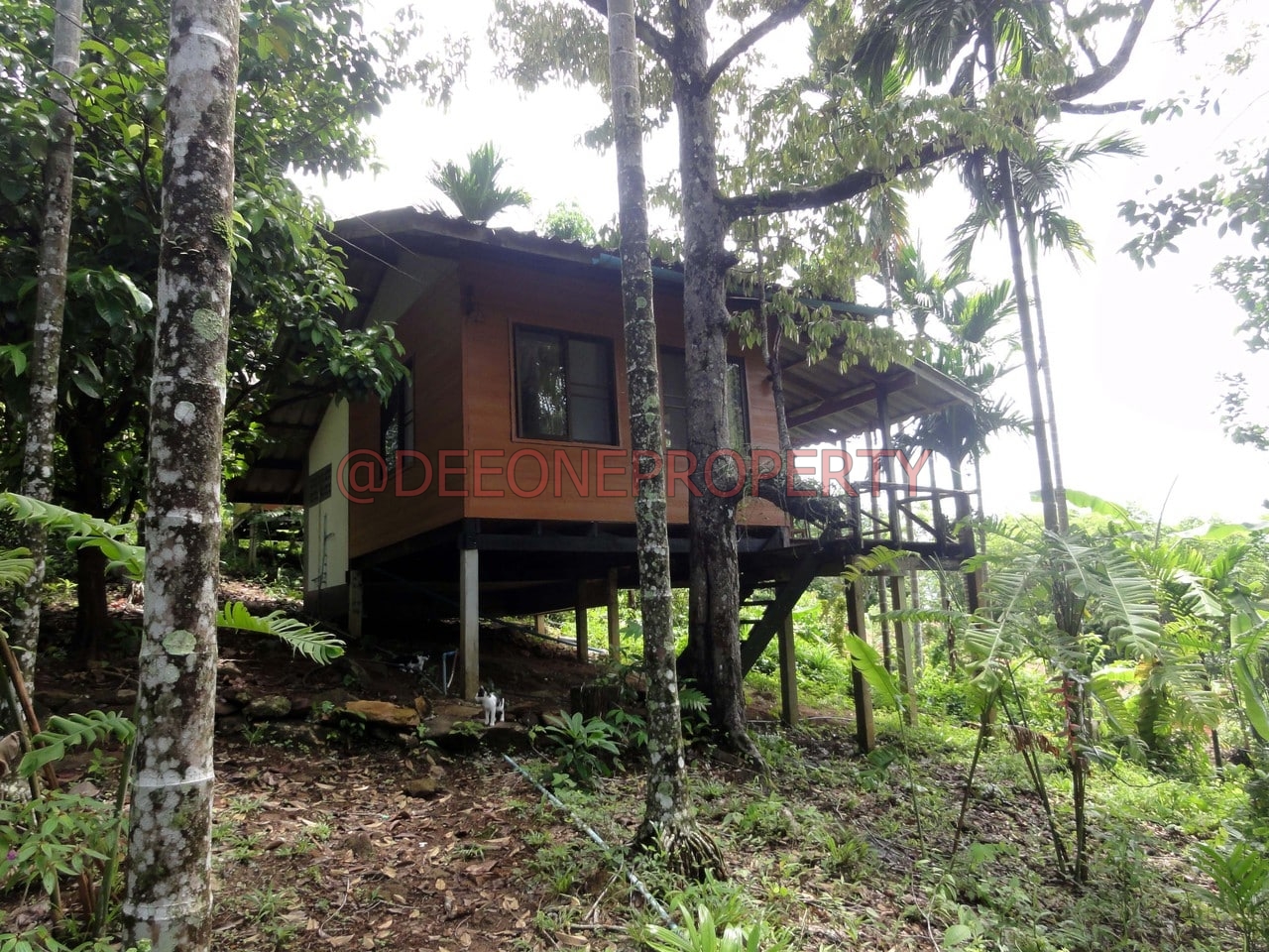 Wooden Bungalow for Rent – North West Coast, Koh Chang