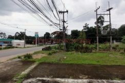 DSC04000
