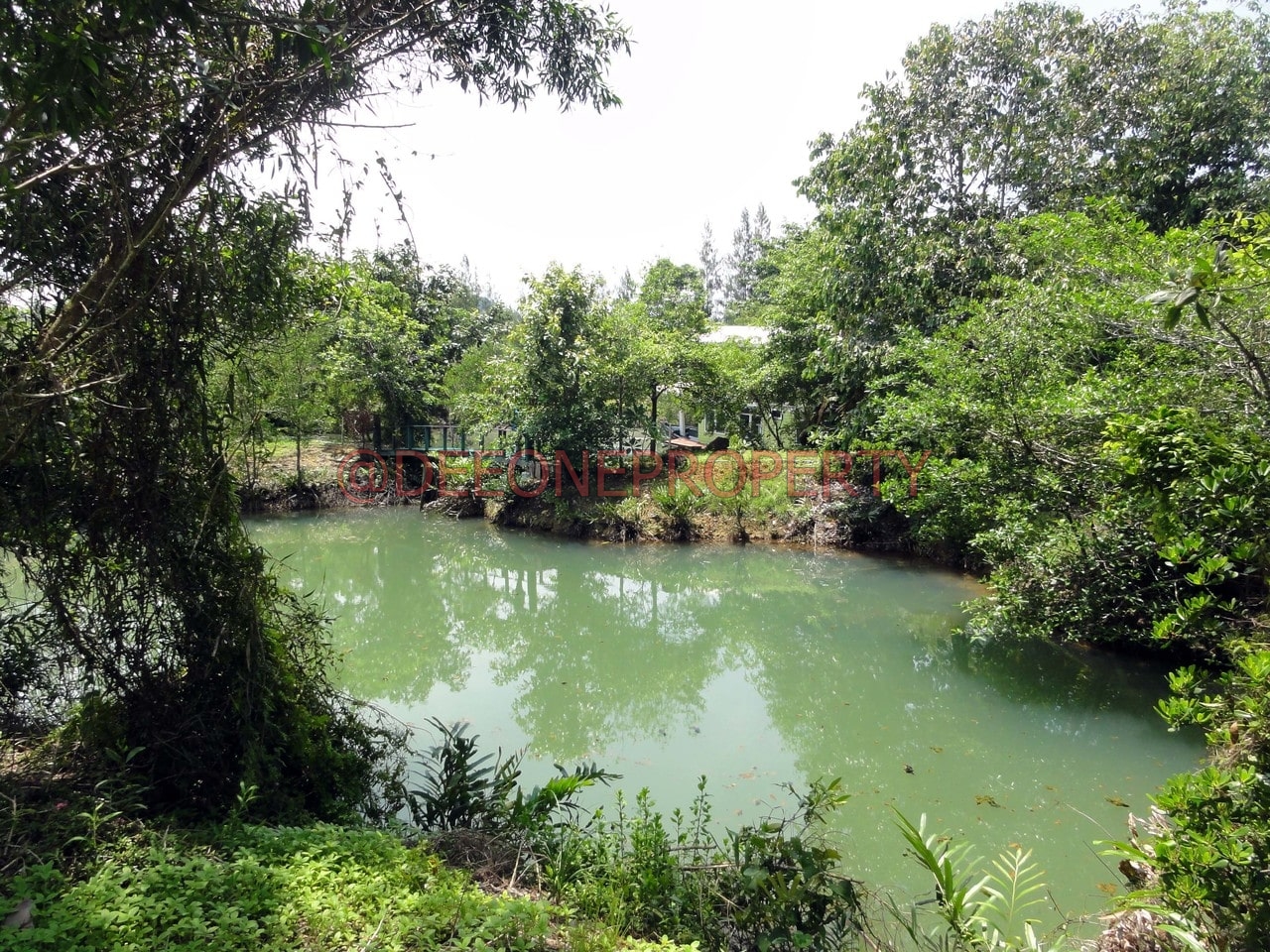 Land 5.5 Rai with Pond for Sale – South East Coast, Koh Chang