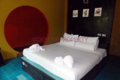 DSC04141