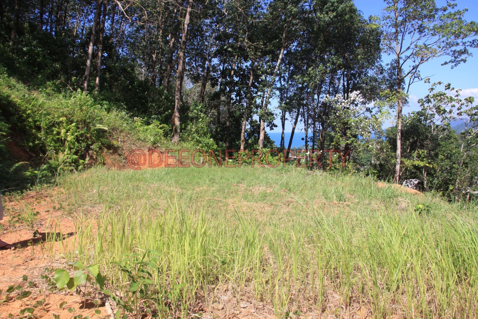 Beautiful Sea View Land for Sale – North West Coast, Koh Chang