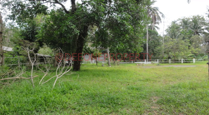 DSC06231