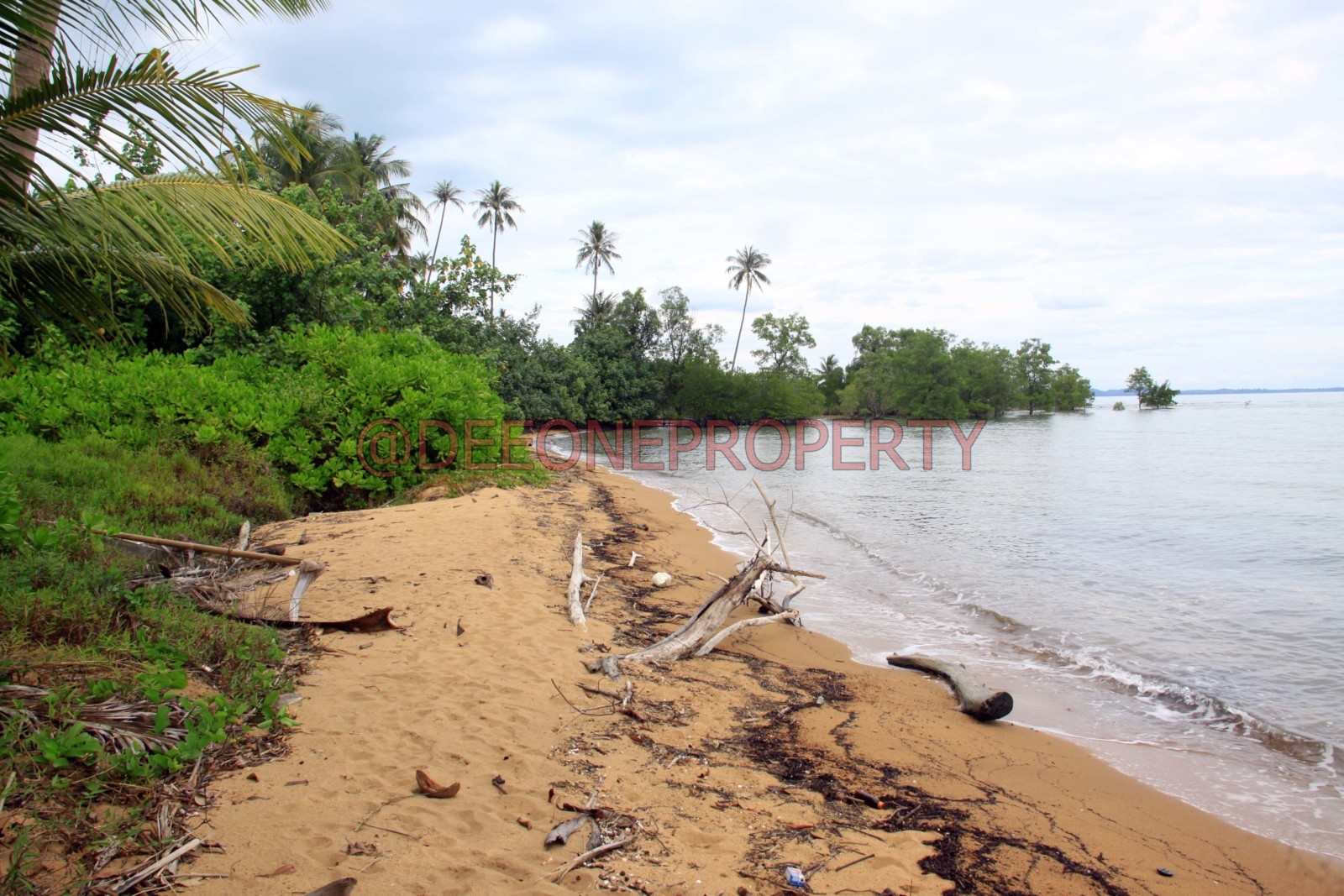 3 Rai on Beach Front with Building for Sale – North East Coast, Koh Chang