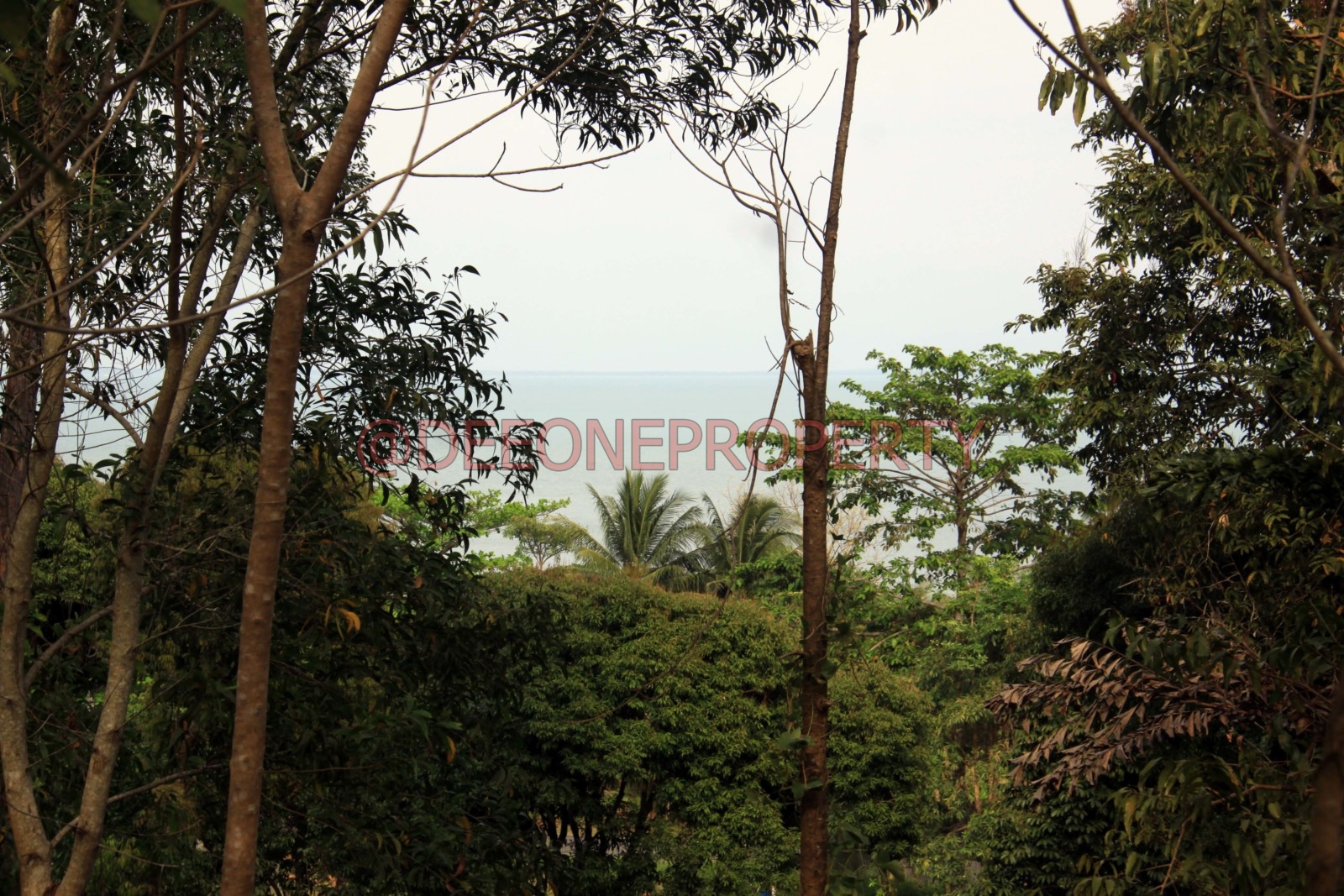 2 Rai Sea View Land on Hillside for Sale – North East Coast, Koh Chang