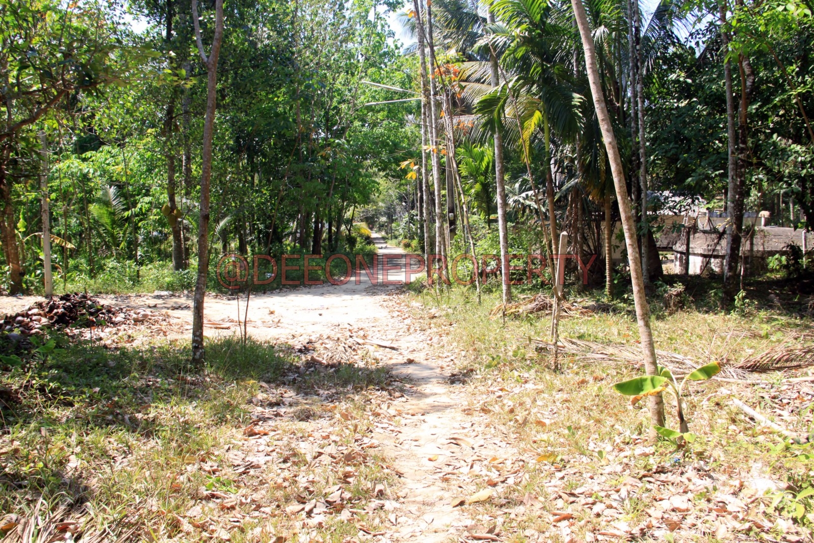 Many House Plot with Private Road for Sale – South East Coast, Koh Chang