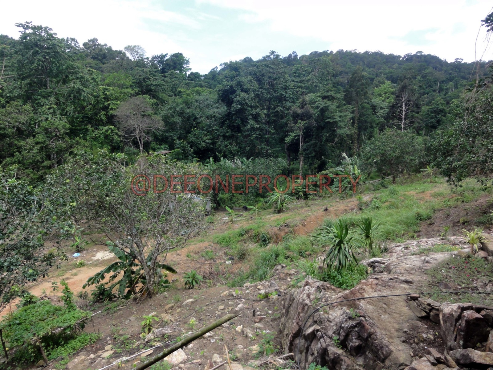 Big Land on Hillside with House for Sale – North West Coast, Koh Chang