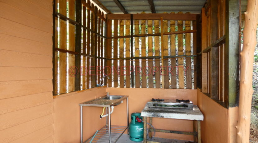 P1000212