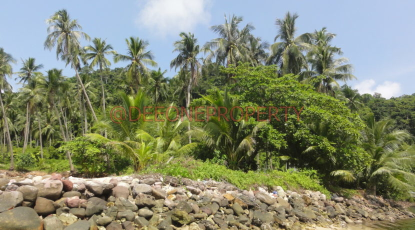 DSC06916