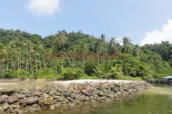 DSC06918