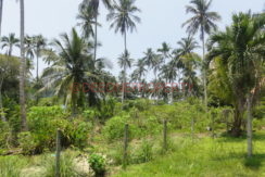 DSC06965