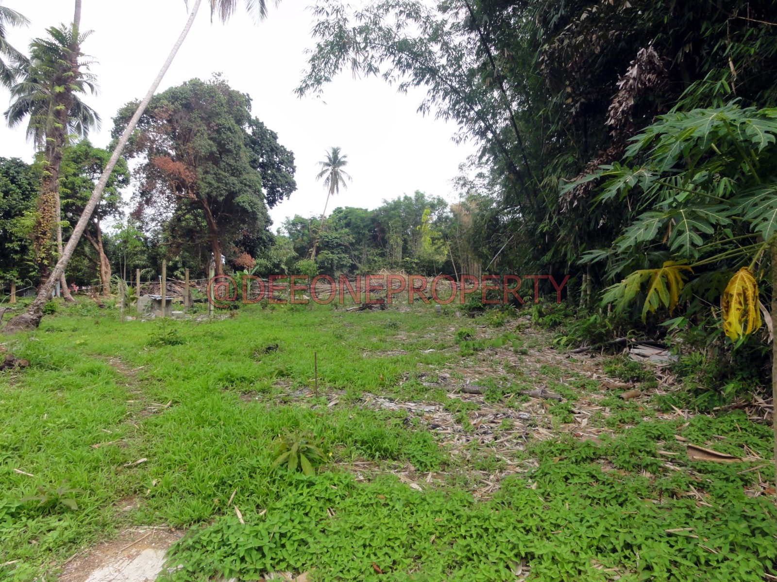 Great 2 Rai Land close to the Sea for Sale – North East Coast, Koh Chang