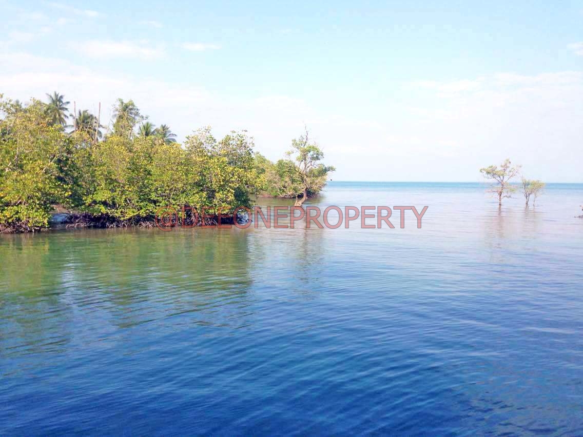 Massive Seafront Land for Sale – South East Coast, Koh Chang