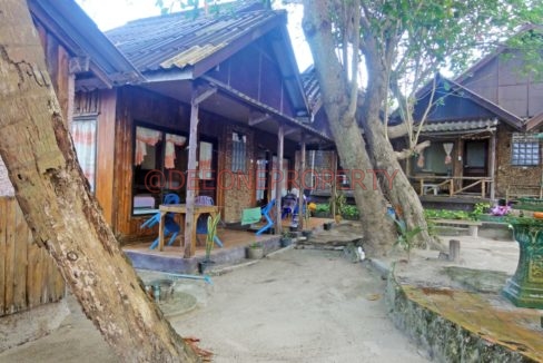 DSC07320