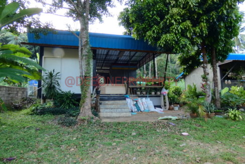 P1000094