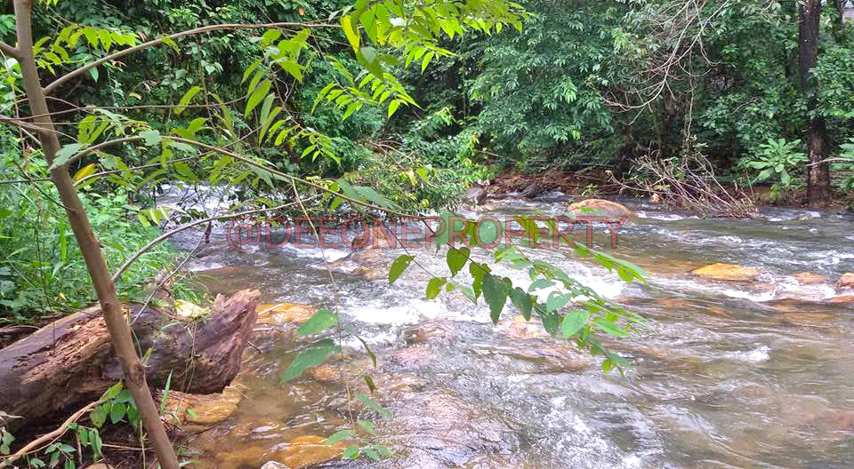 3 Rai Land On Riverside for Sale – North East Coast, Koh Chang