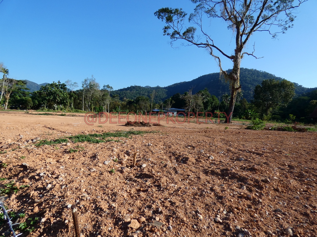 House Plots for Sale – North East Coast, Koh Chang