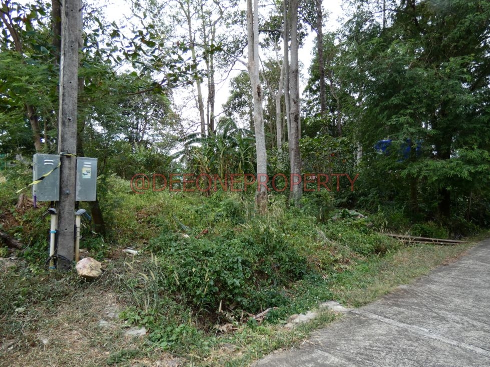 Chanote Land Plot for Sale – North West Coast, Koh Chang