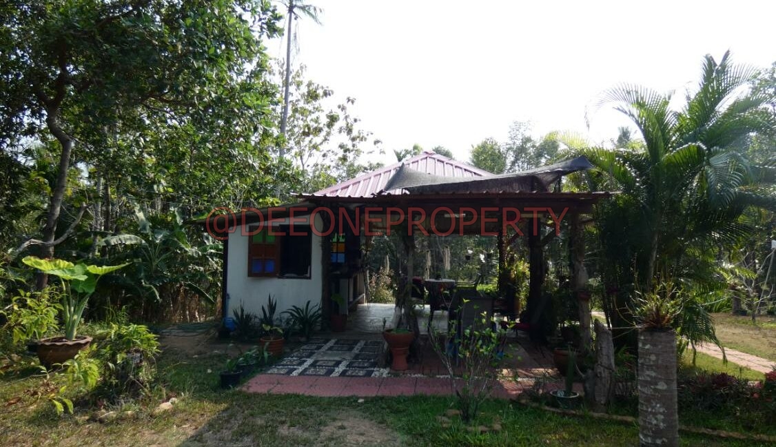 P1020556