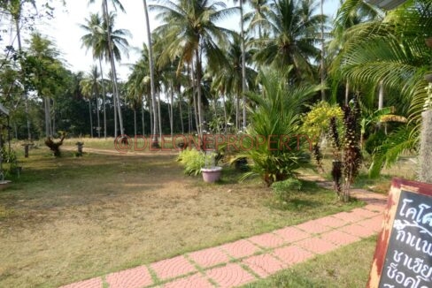 P1020561