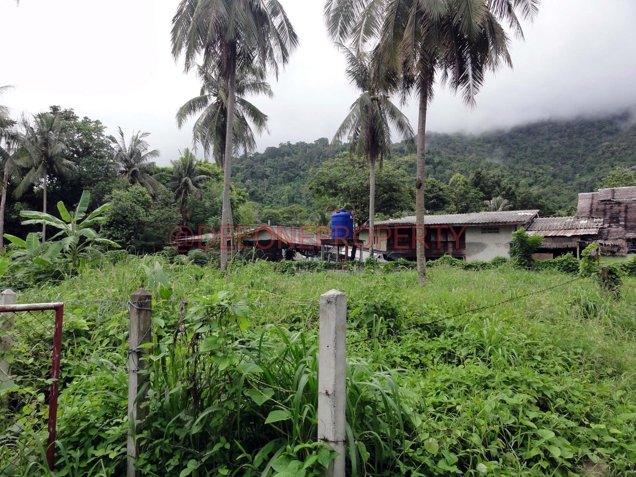 Land for rent in village center – South West Coast, Koh Chang