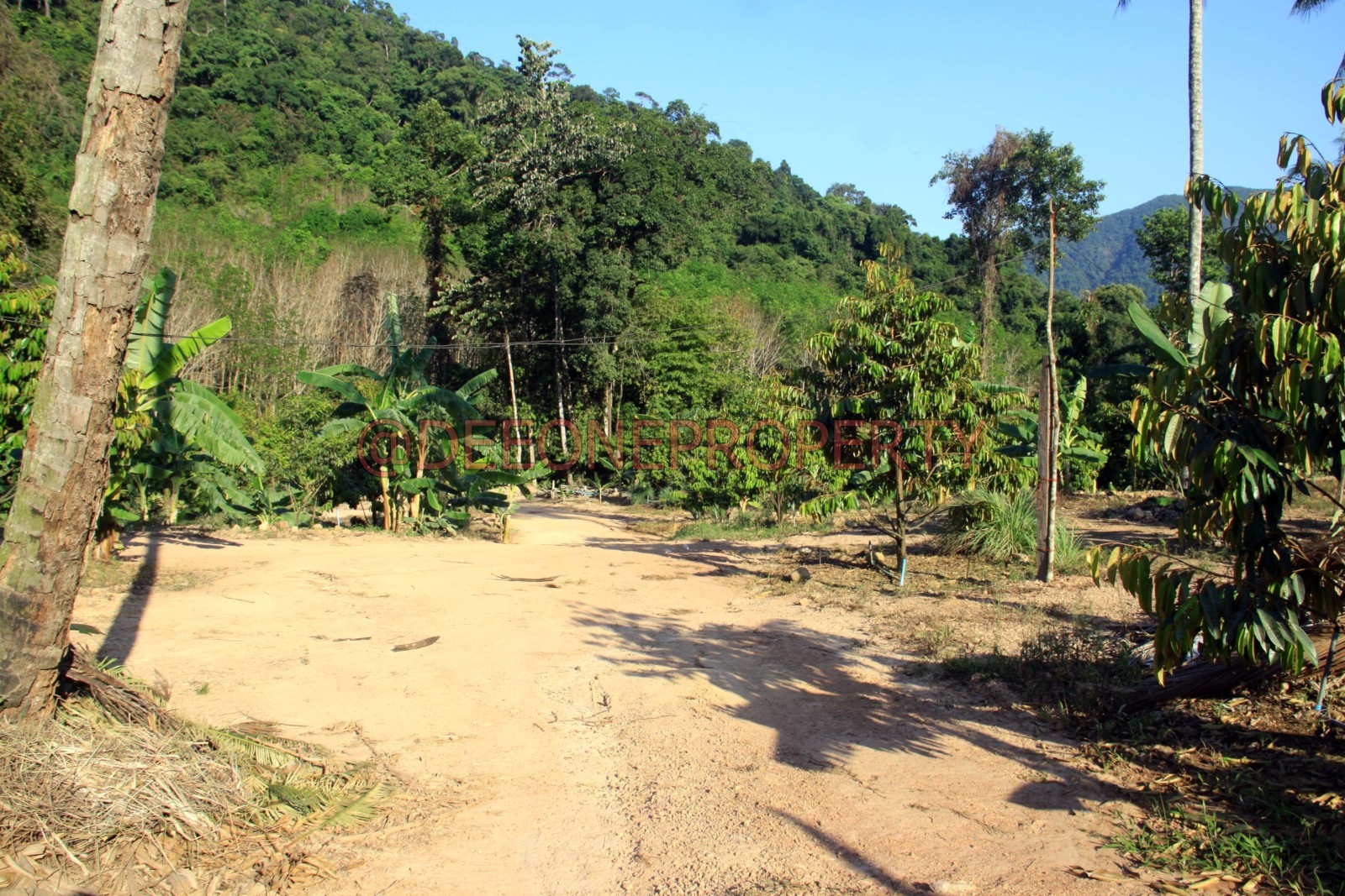 26 Rai Land on the Hillside for Sale – South East Coast, Koh Chang