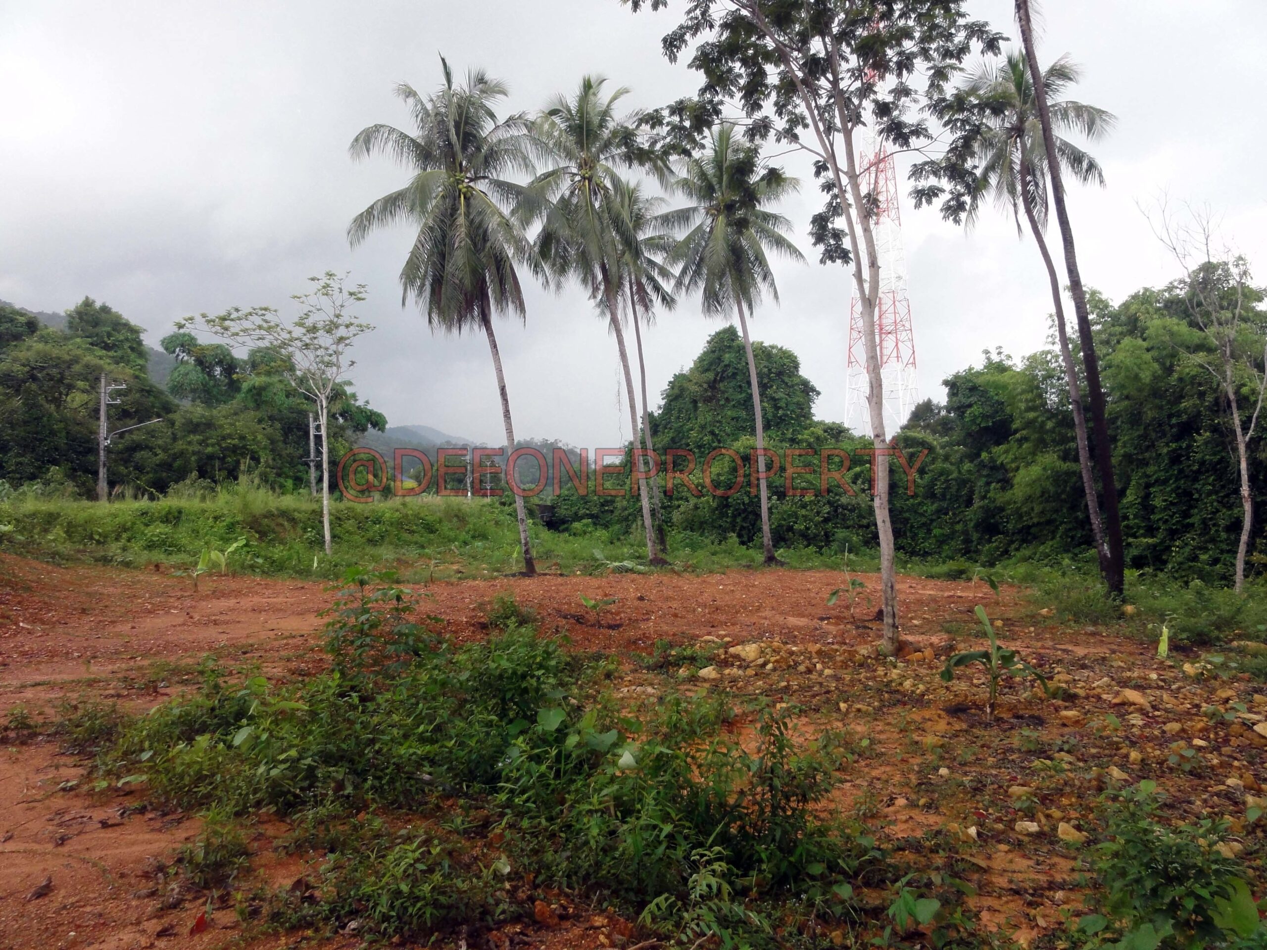 Amazing Sea Front Land on Main Road for Sale – North East Coast, Koh Chang
