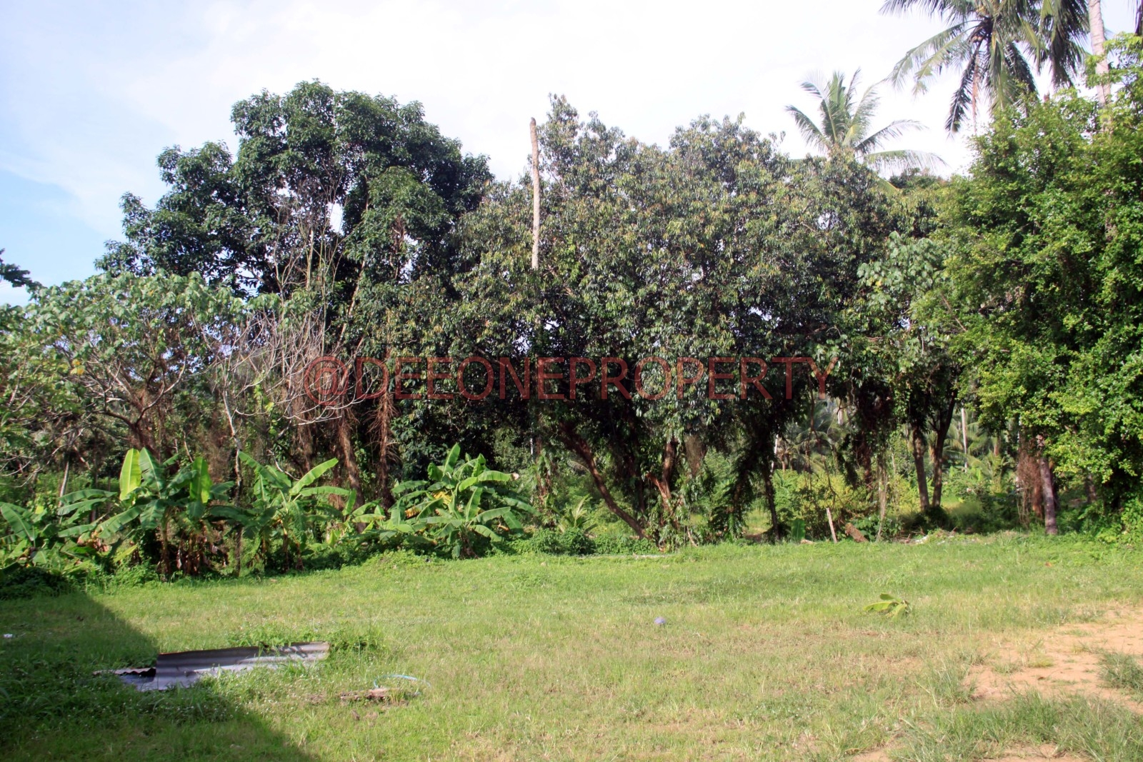 1 Rai Land Chanote in Quiet Area for Sale – North East Coast, Koh Chang