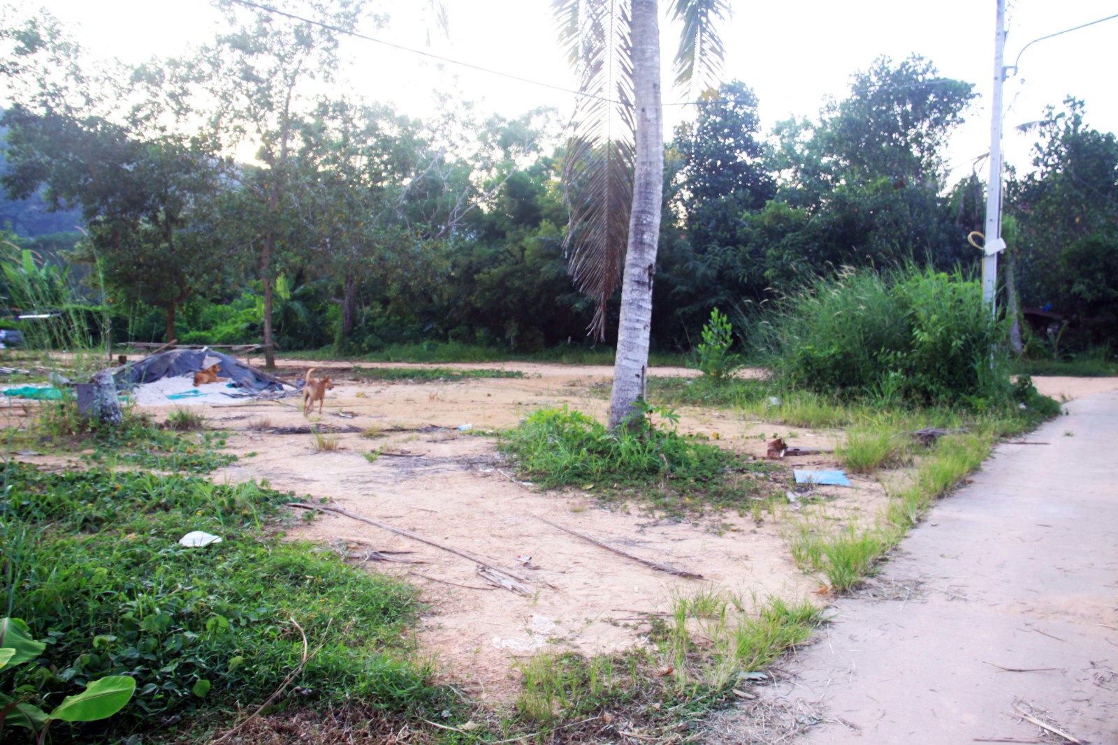 Small House Plot Ready to Build for Sale – North East Coast, Koh Chang