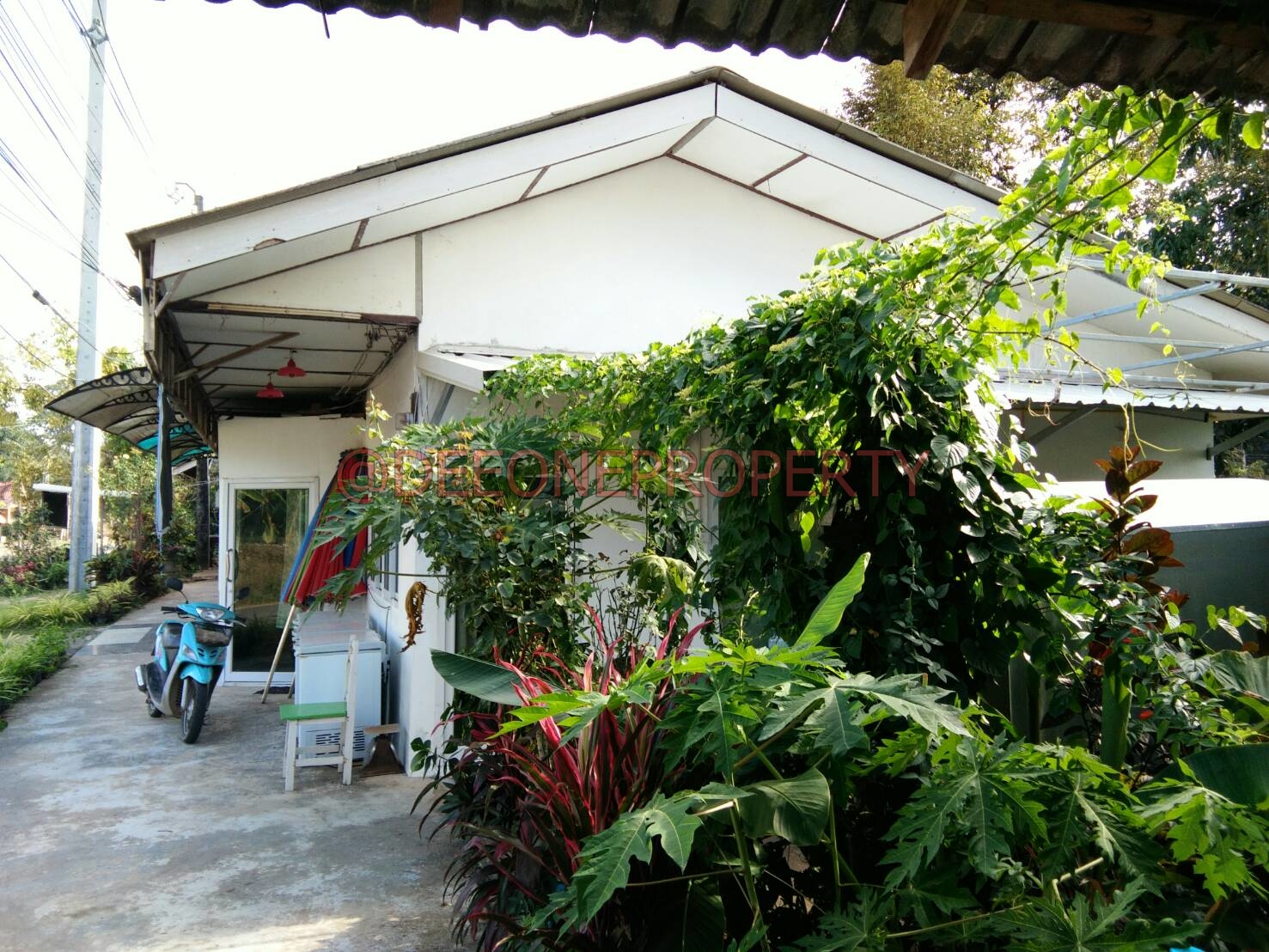 Small Guest House with Land for Sale – North East Coast, Koh Chang