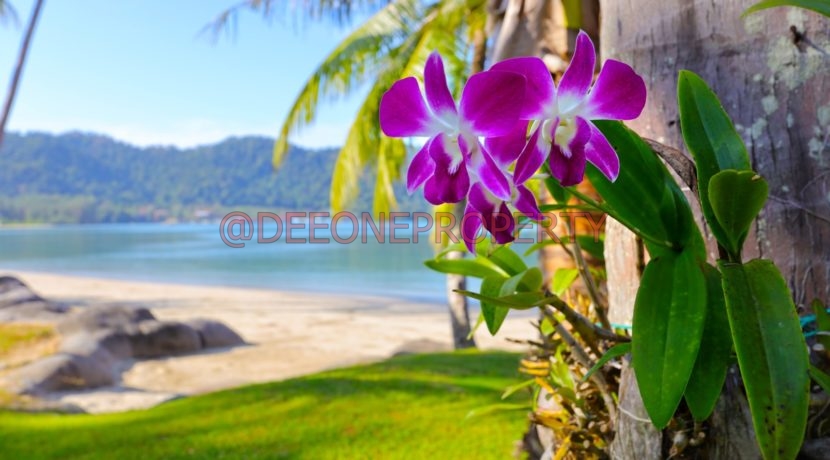 Beach Front Villa 3BDR (22)