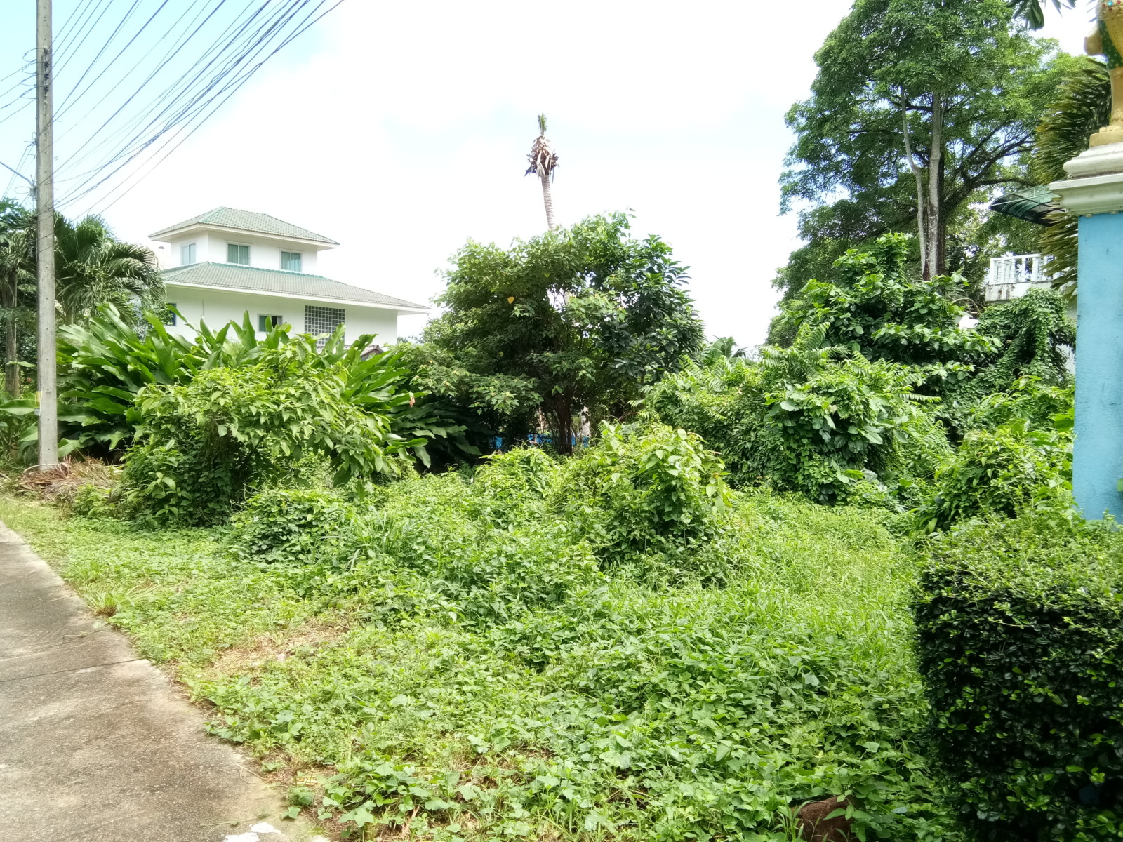 Empty House Plot in Popular Area for Sale – North West Coast, Koh Chang