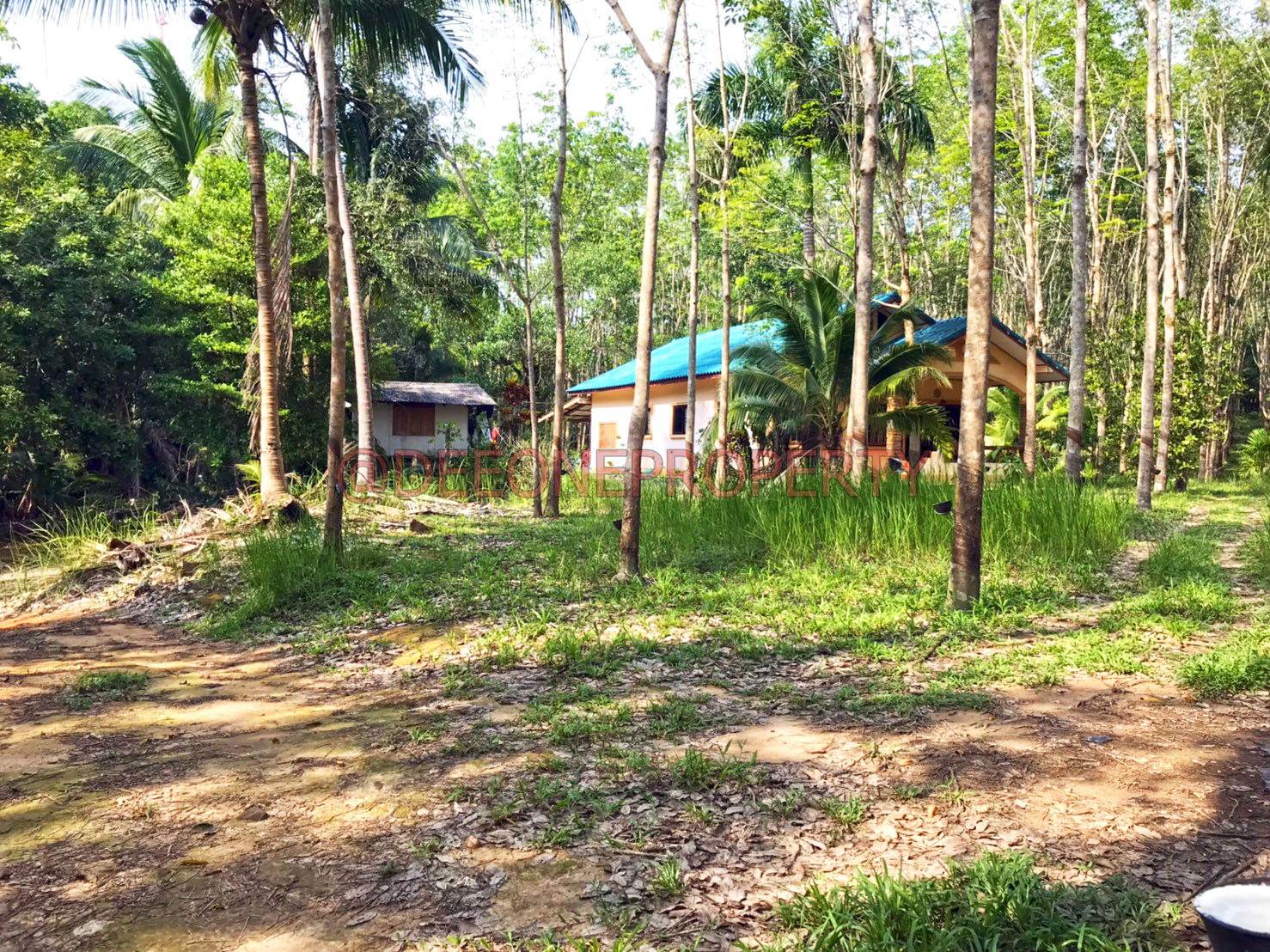 Large Piece of Land with House for Sale – South East Coast, Koh Chang