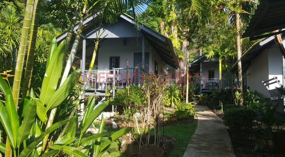 WhatsApp Image 2024-03-06 at 16.52.52 (1)