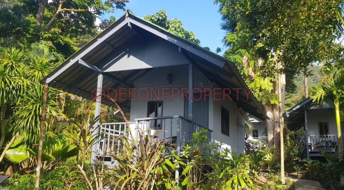 WhatsApp Image 2024-03-06 at 16.52.53