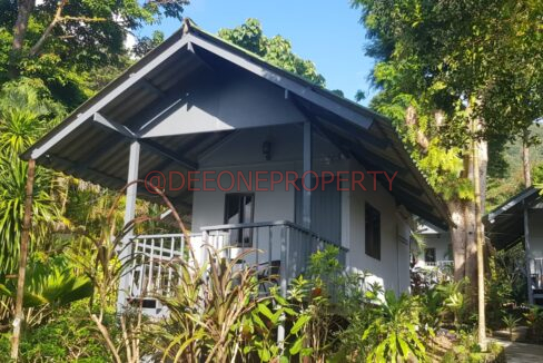 WhatsApp Image 2024-03-06 at 16.52.53