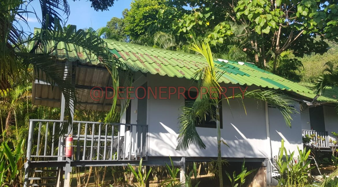 WhatsApp Image 2024-03-06 at 16.52.57 (1)