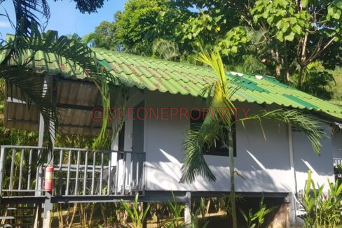 WhatsApp Image 2024-03-06 at 16.52.57 (1)