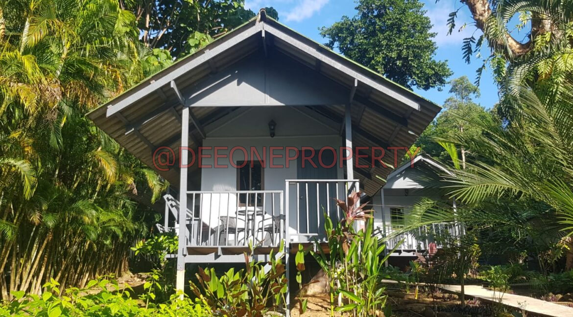 WhatsApp Image 2024-03-06 at 16.52.57