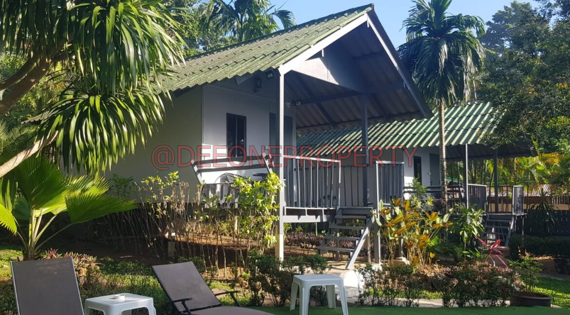 WhatsApp Image 2024-03-06 at 16.52.58