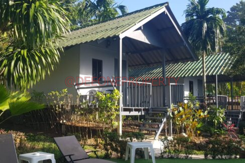 WhatsApp Image 2024-03-06 at 16.52.58