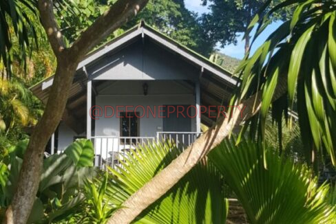 WhatsApp Image 2024-03-06 at 16.52.59