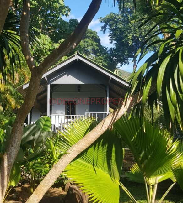 WhatsApp Image 2024-03-06 at 16.52.59