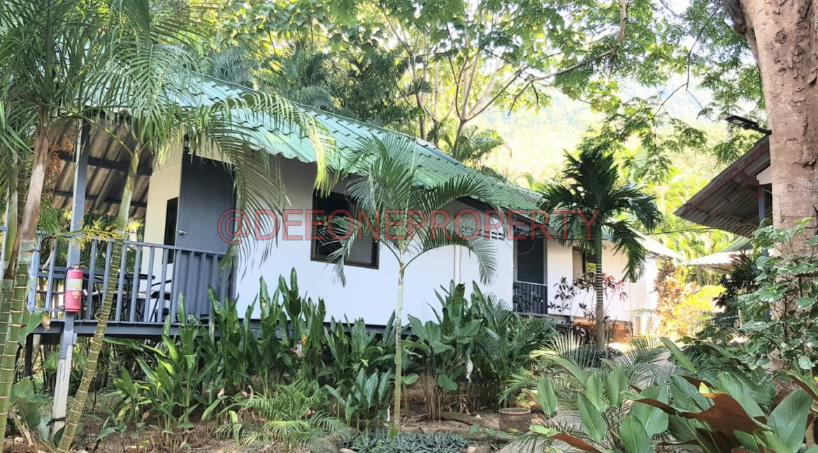 WhatsApp Image 2024-03-06 at 16.53.02 (1)