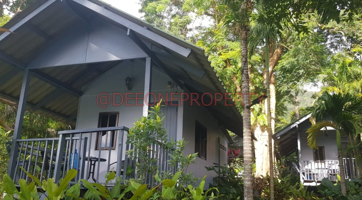 WhatsApp Image 2024-03-06 at 16.53.02 (2)