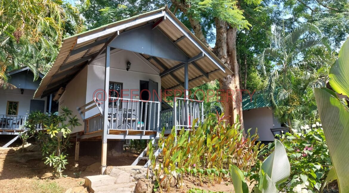 WhatsApp Image 2024-03-06 at 16.53.05 (1)