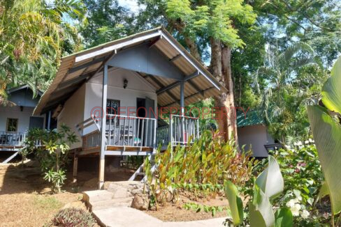 WhatsApp Image 2024-03-06 at 16.53.05 (1)