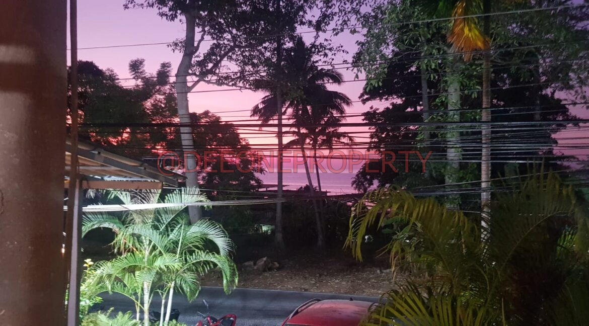 WhatsApp Image 2024-03-06 at 16.53.06 (1)